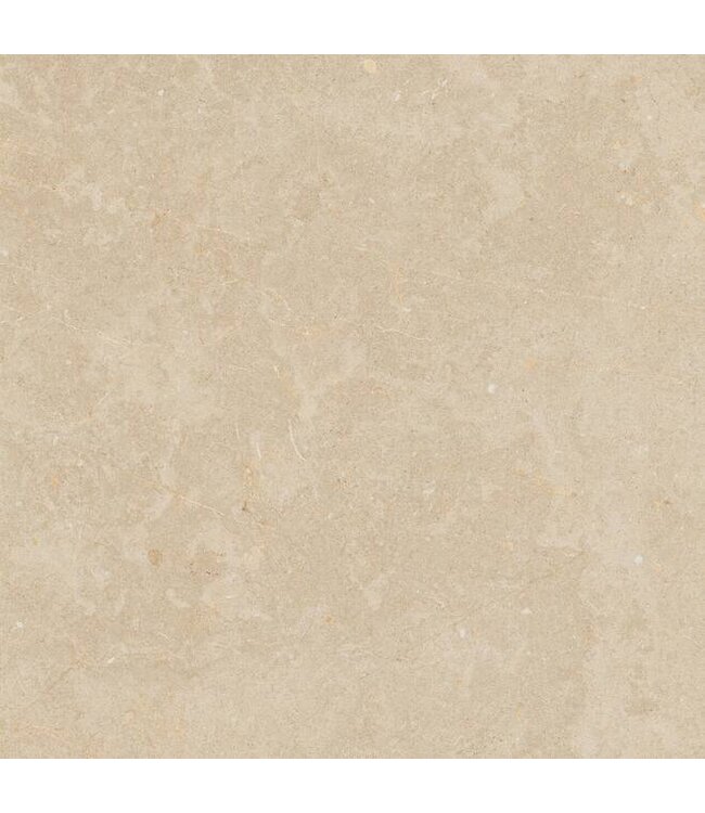 SolidSquare Limerock Beige