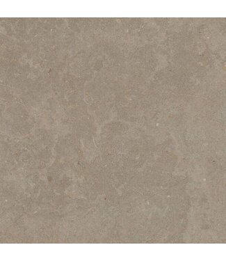 Limerock Taupe