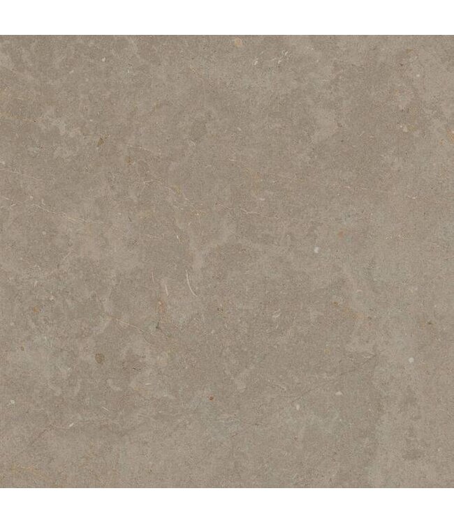 SolidSquare Limerock Taupe
