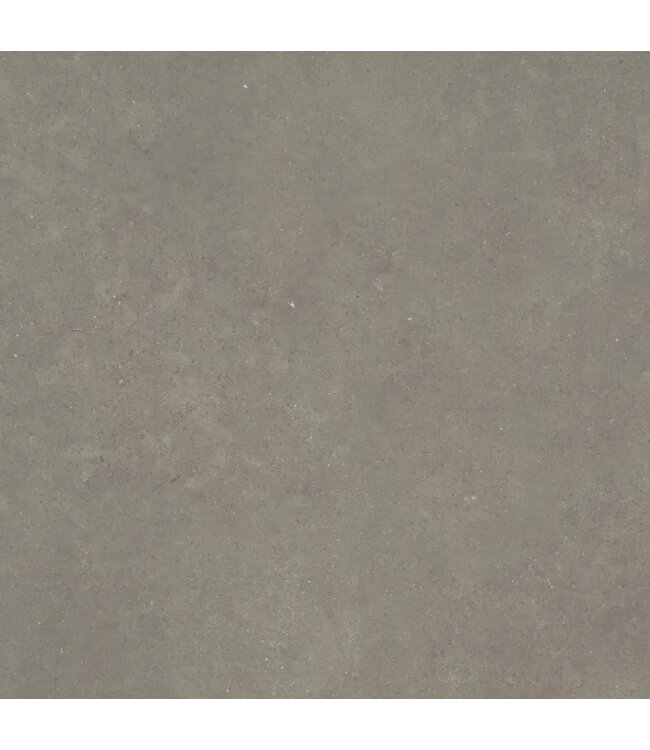 Ceradin Cortona Musk