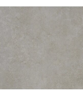 Ceradin Cortona Silver