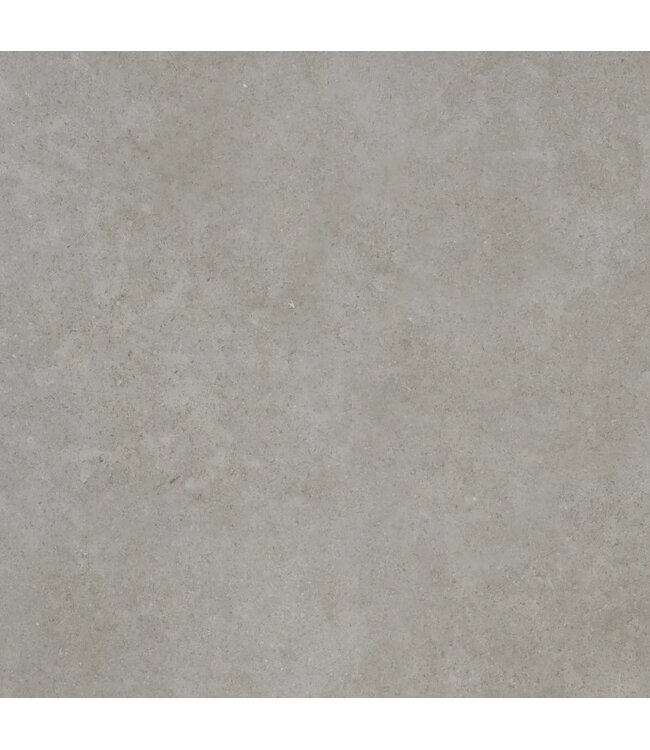 Ceradin Cortona Silver