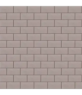 Betonklinker BKK Taupe Tremico 21x10,5x8 cm