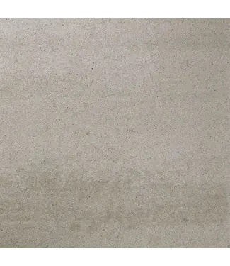 Kleurechte Betonsteen Greige 30x20x6cm