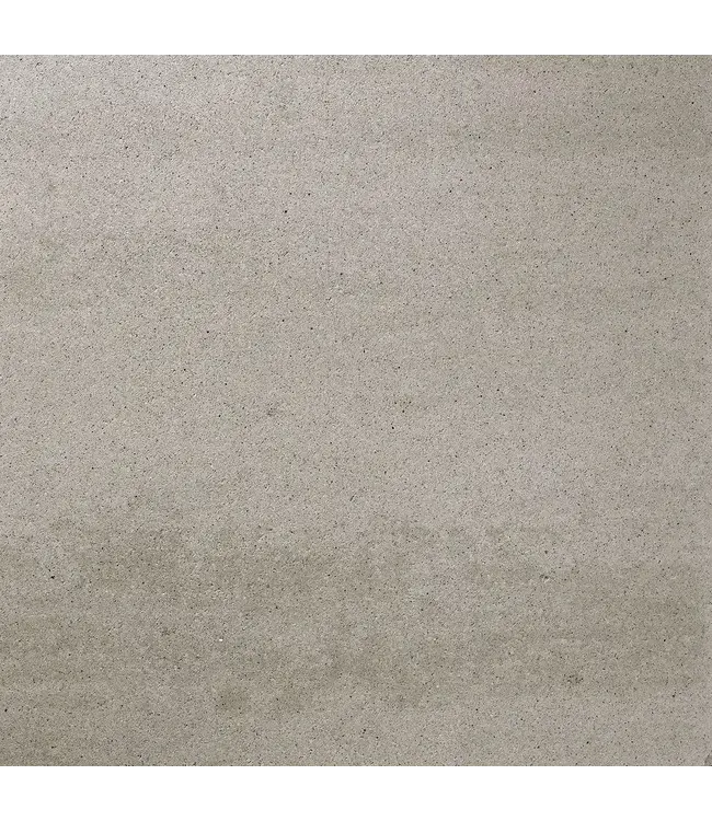 Kleurechte Betonsteen Greige 30x20x6cm