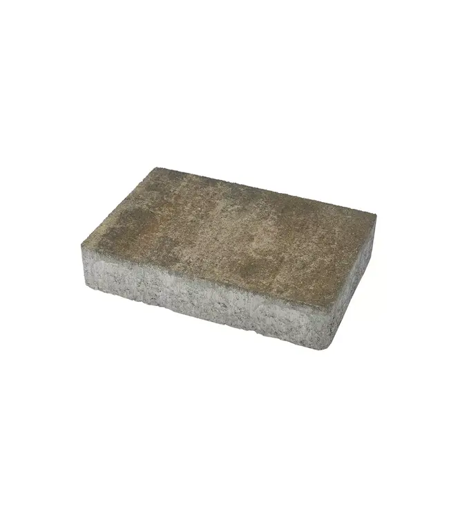 Kleurechte Betonsteen Terra Nuance 30x20x6cm