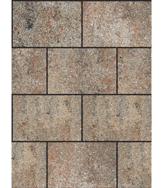 Kleurechte Betonsteen Terra Nuance 30x20x6cm