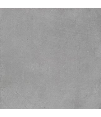 Pietra Taupe 60x60x2cm