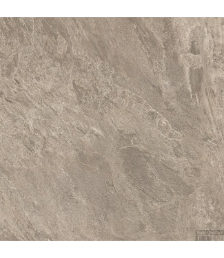 Plavio Brown 60x60x2cm