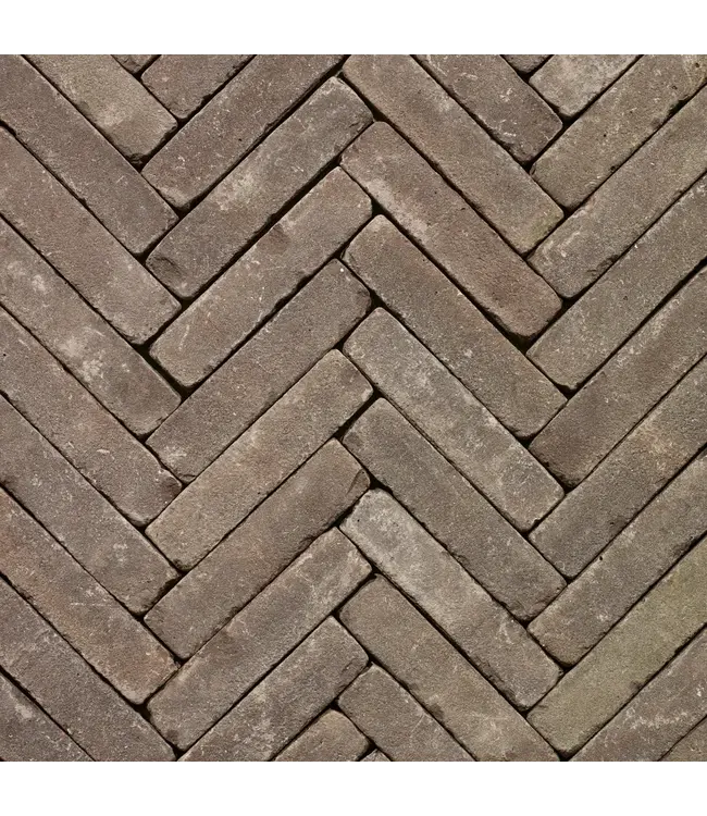 Rustiek Waalformaat Antraton