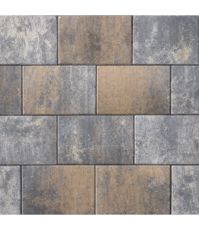 Tremico Texels Bont 20x30x6 cm