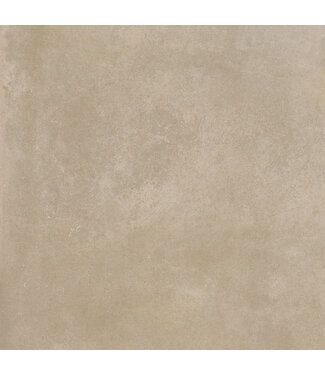 Danzig Natural 60x60x3