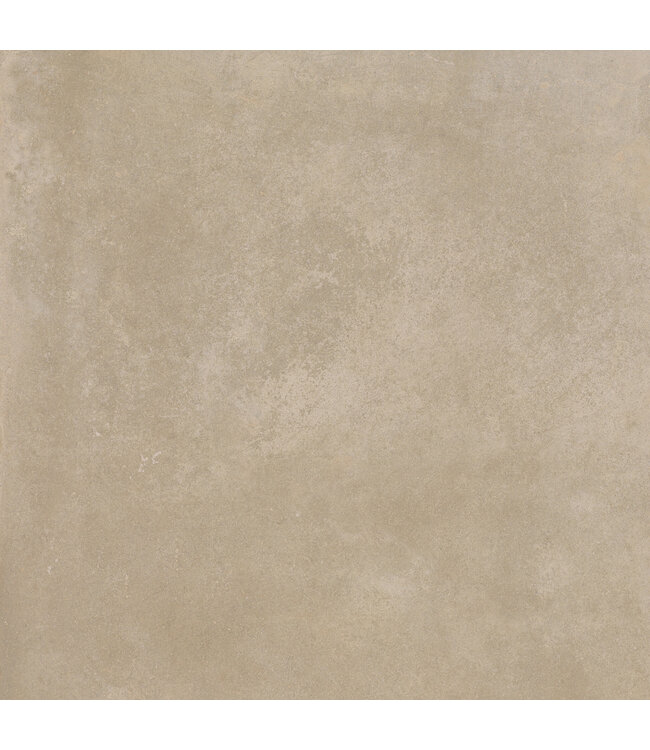 Danzig Natural 60x60x3