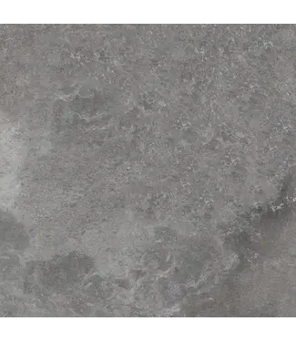 Cerasolid Marmo Grey