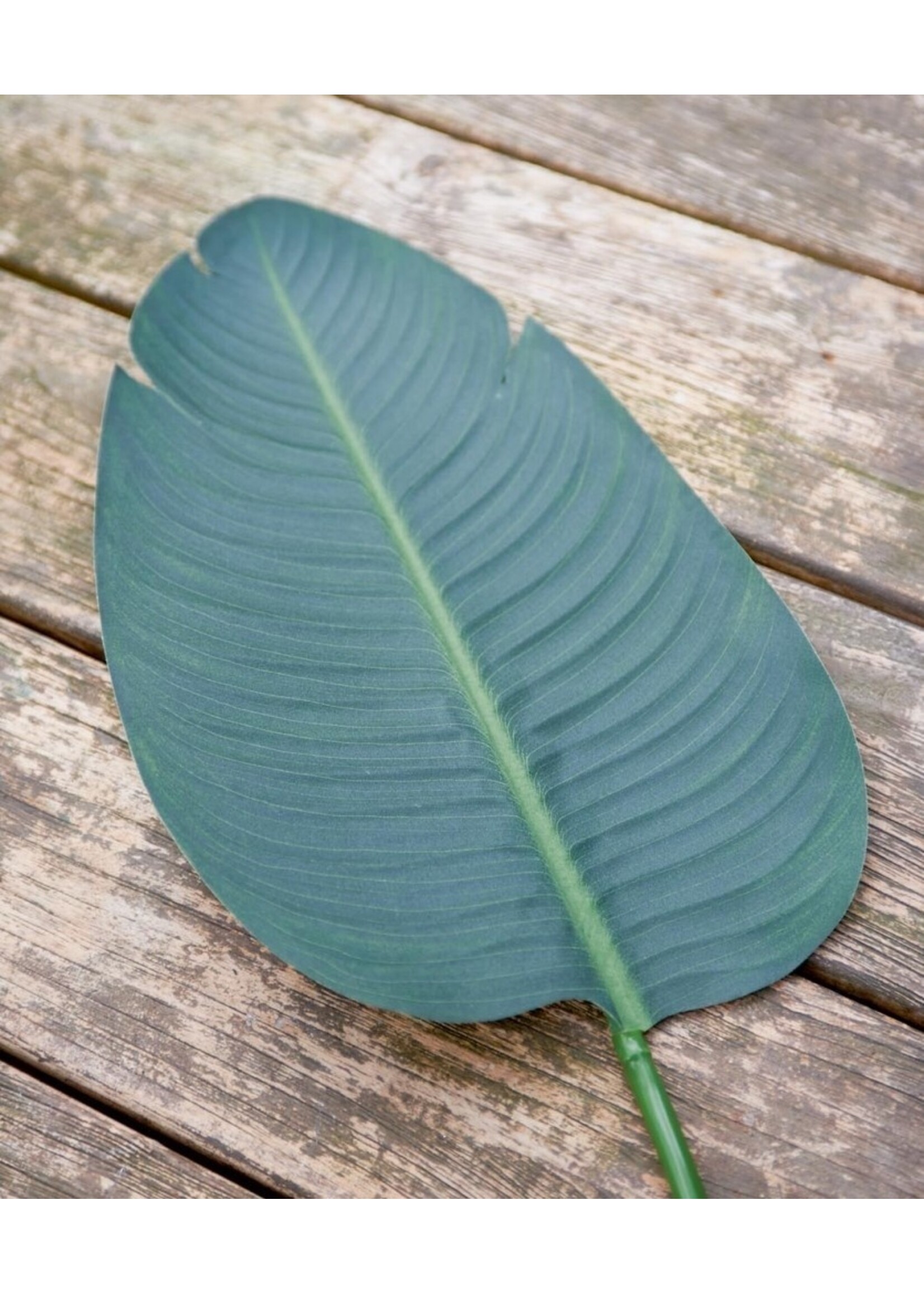 Riviera Maison Strelitzia Leaf L