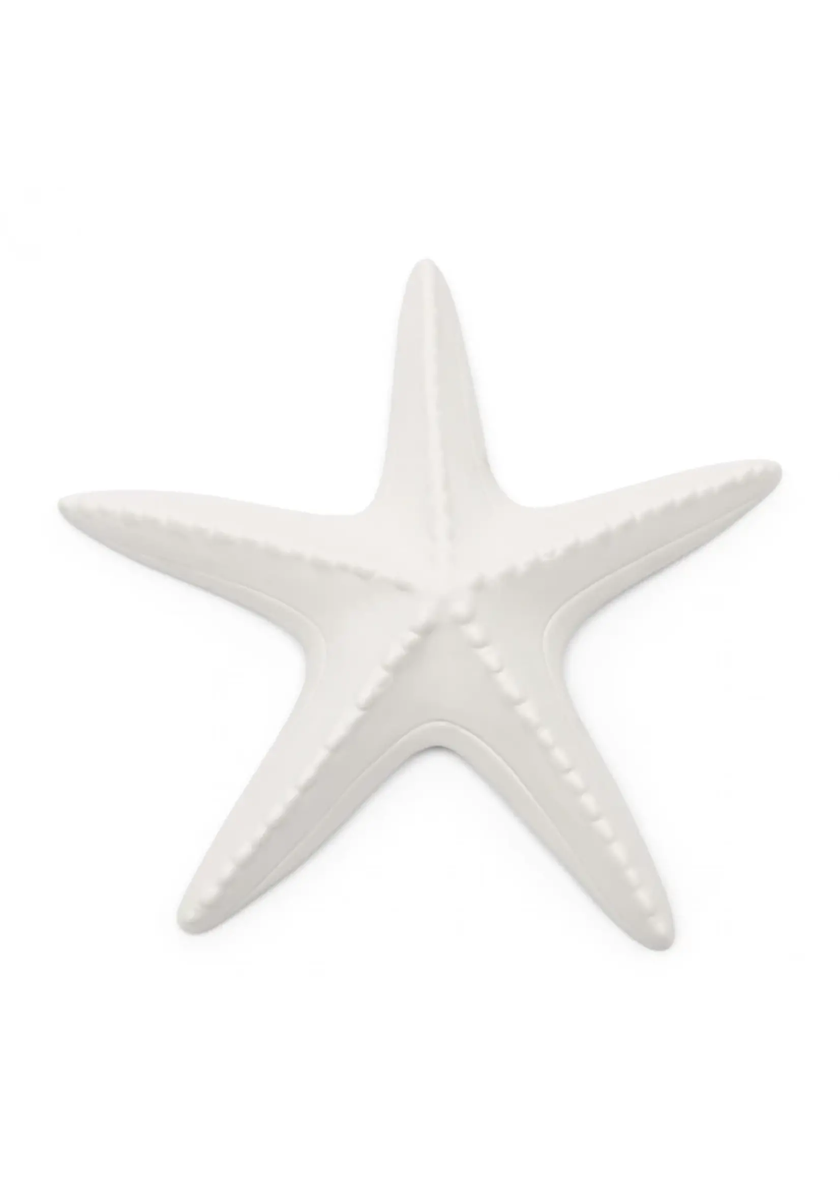 Riviera Maison Étoile Starfish Decoration