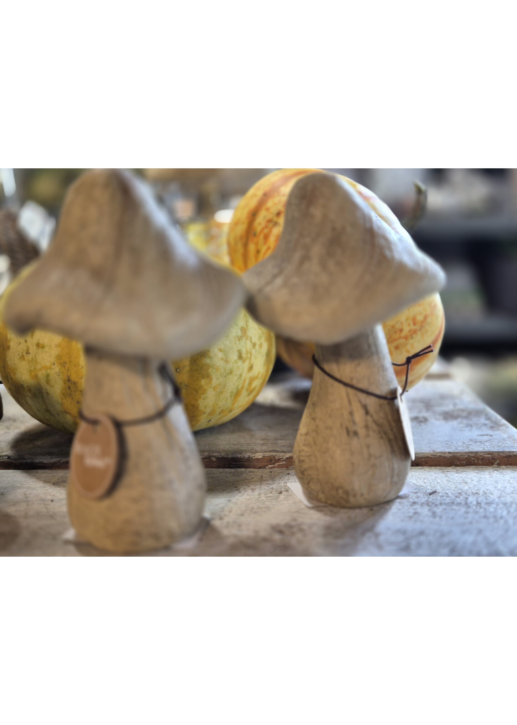 Decoratieve standaard Ronan, Paddenstoel, H 27 cm