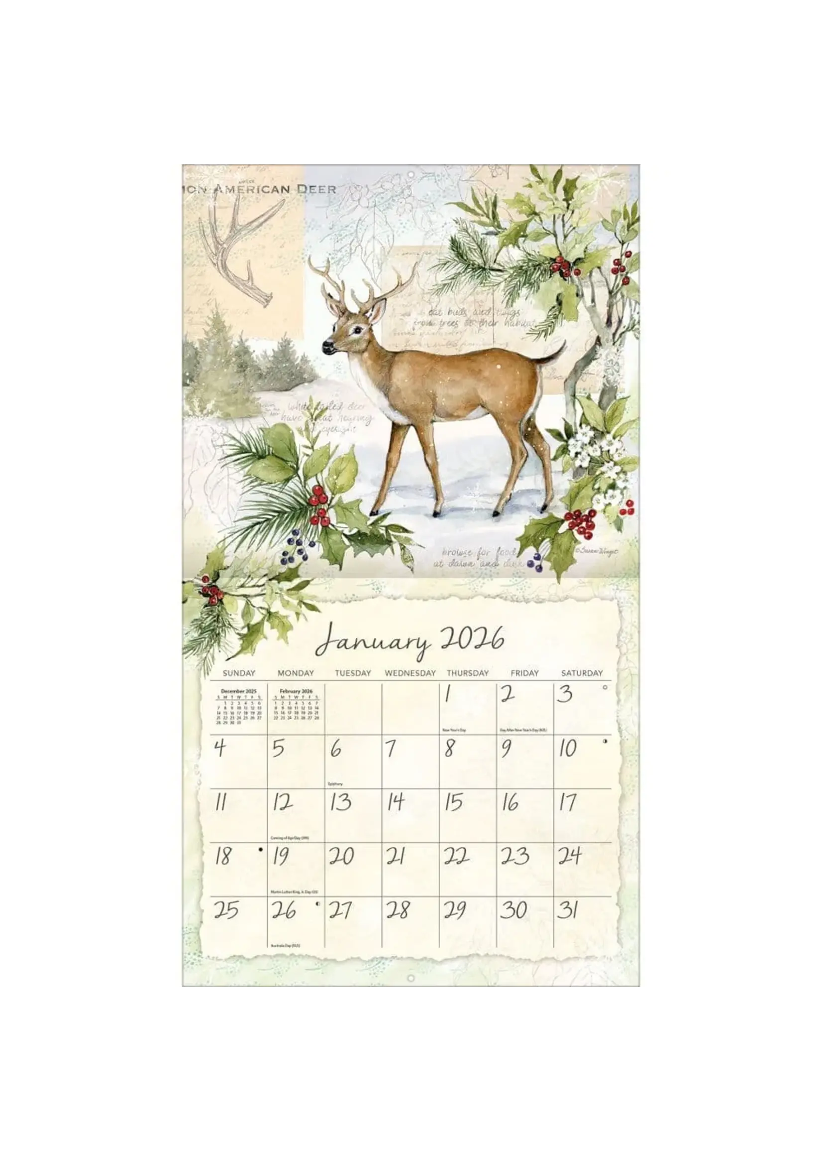 Field Guide Lang Calendar 2026