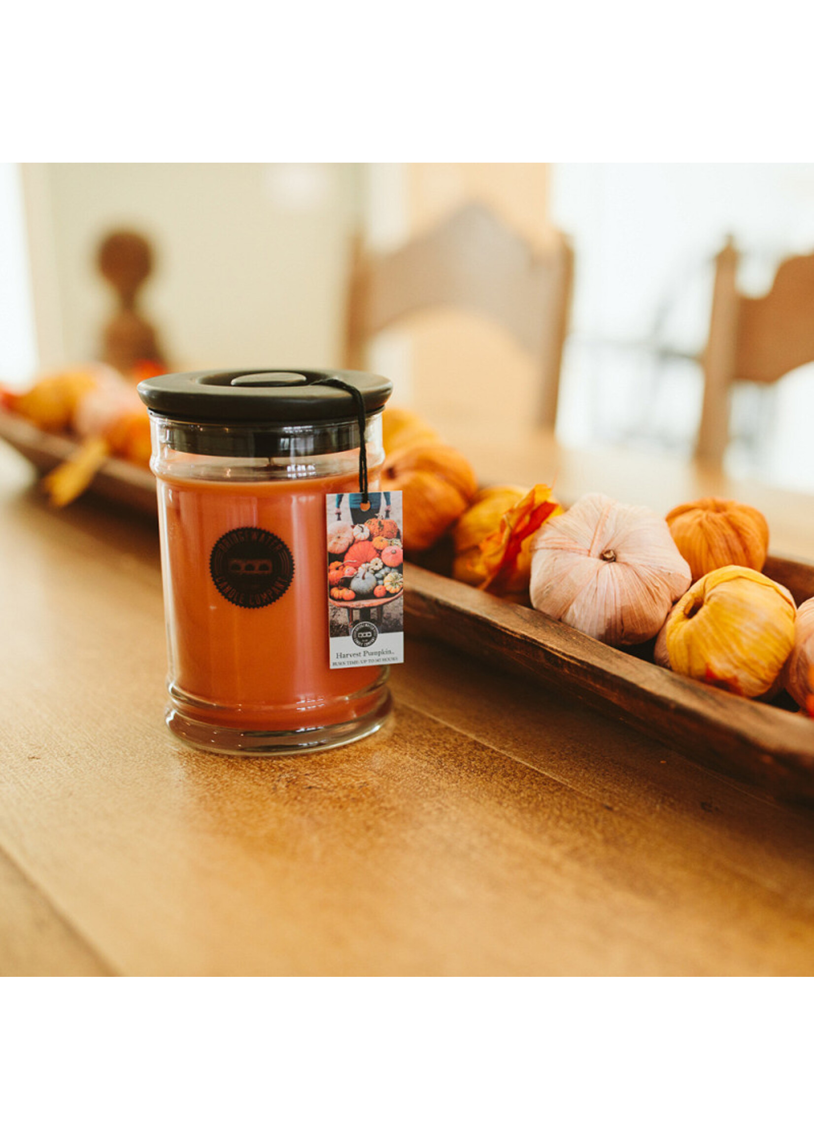 Bridgewater Kaars Pot S Harvest Pumpkin