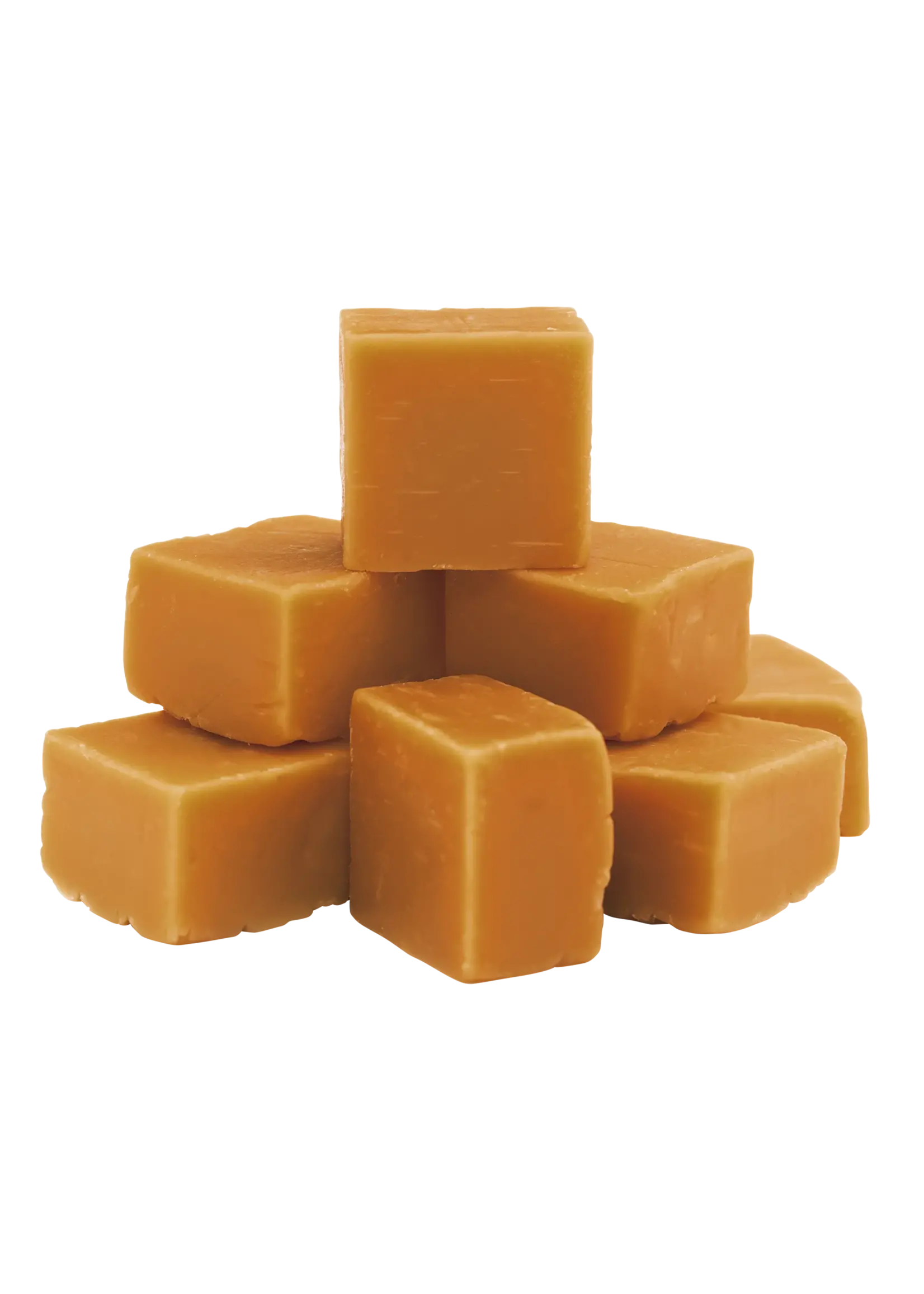 Vintage Christmas Fudge Speculaas