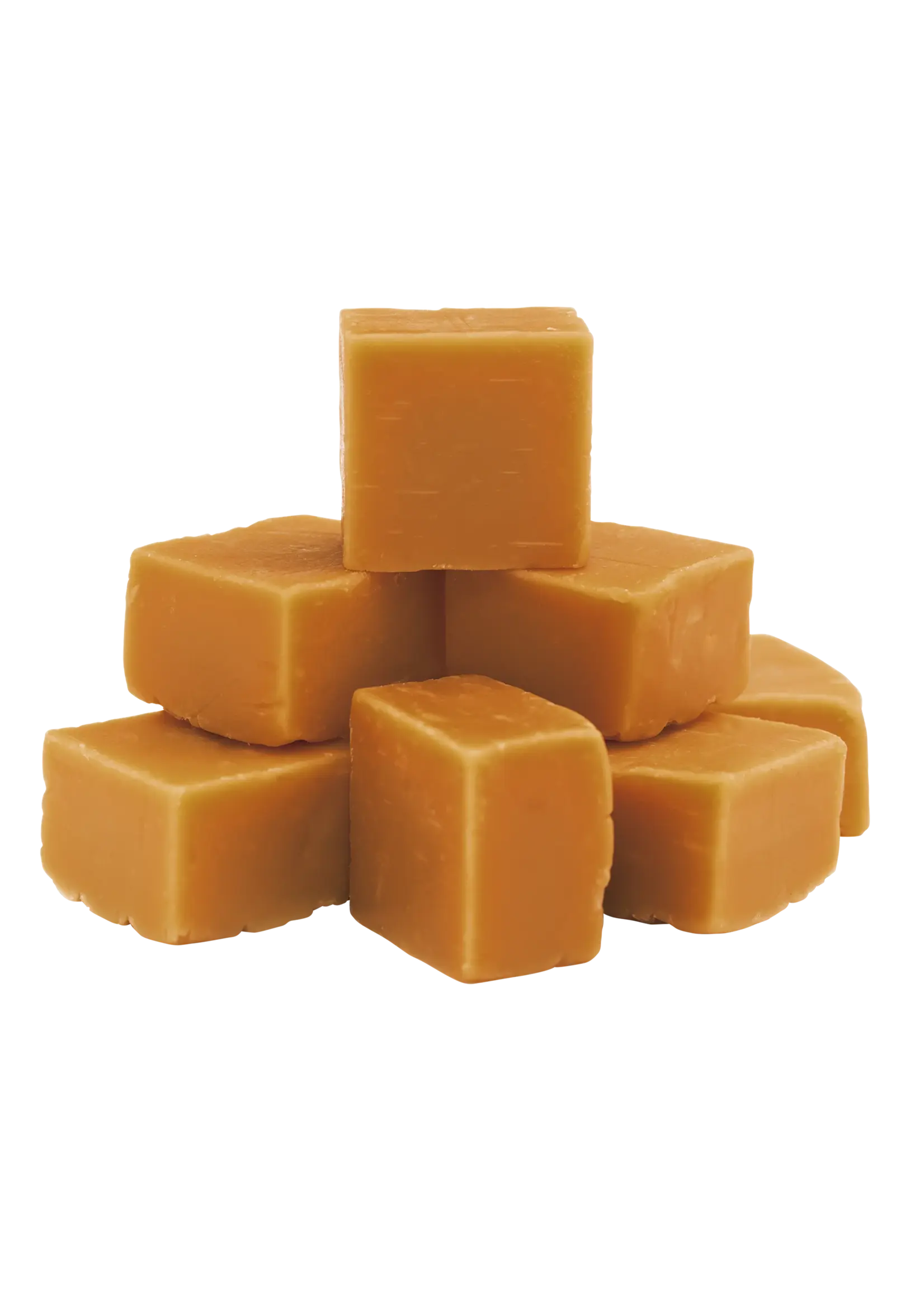 Botanic Chic Fudge Kaneel