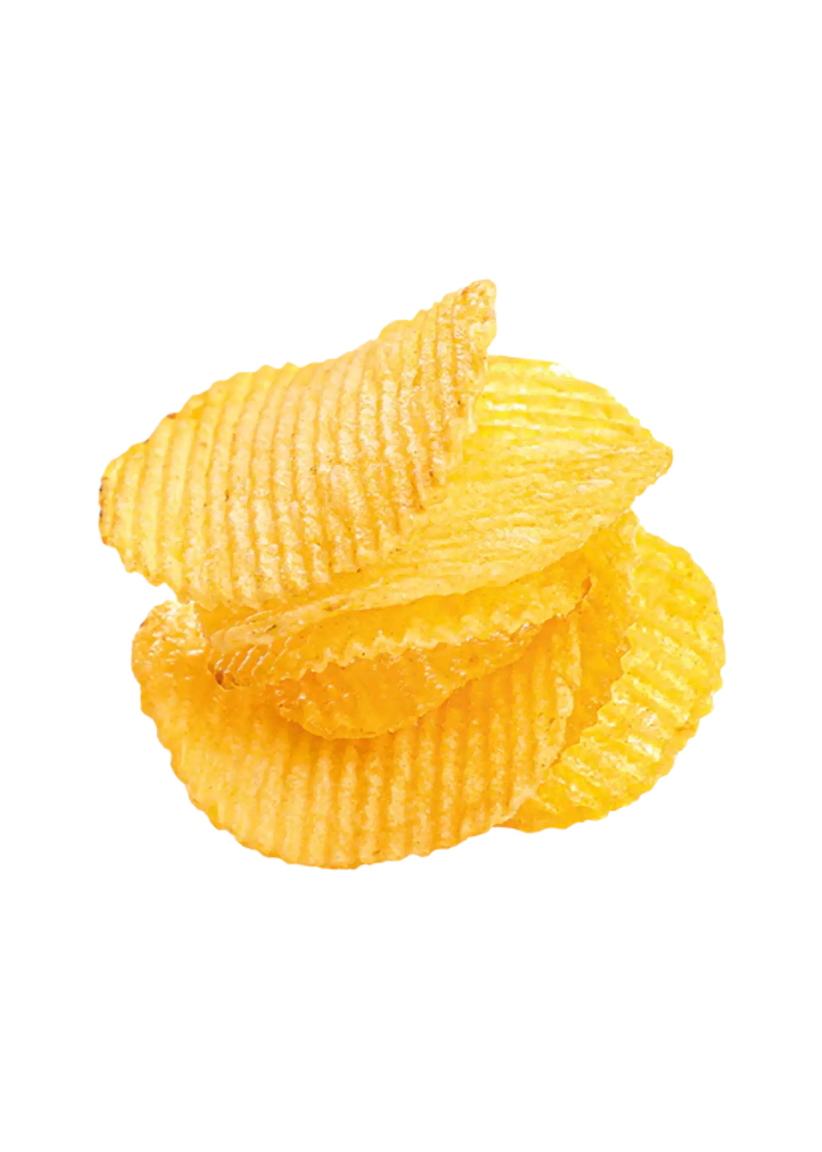 Botanic Chic Ribbelchips Zout