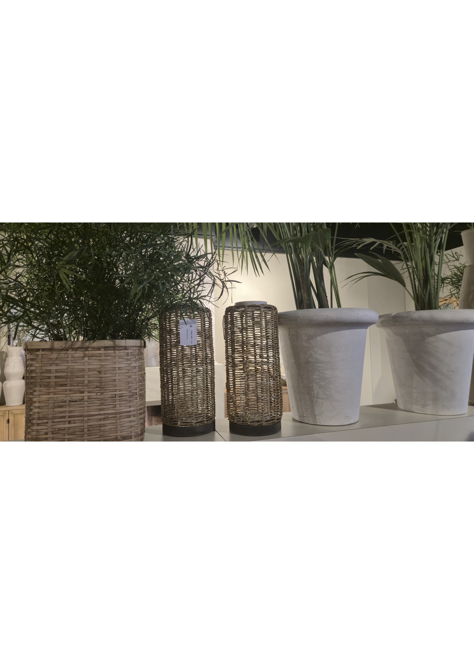 Riviera Maison Palmanova Hurricane L