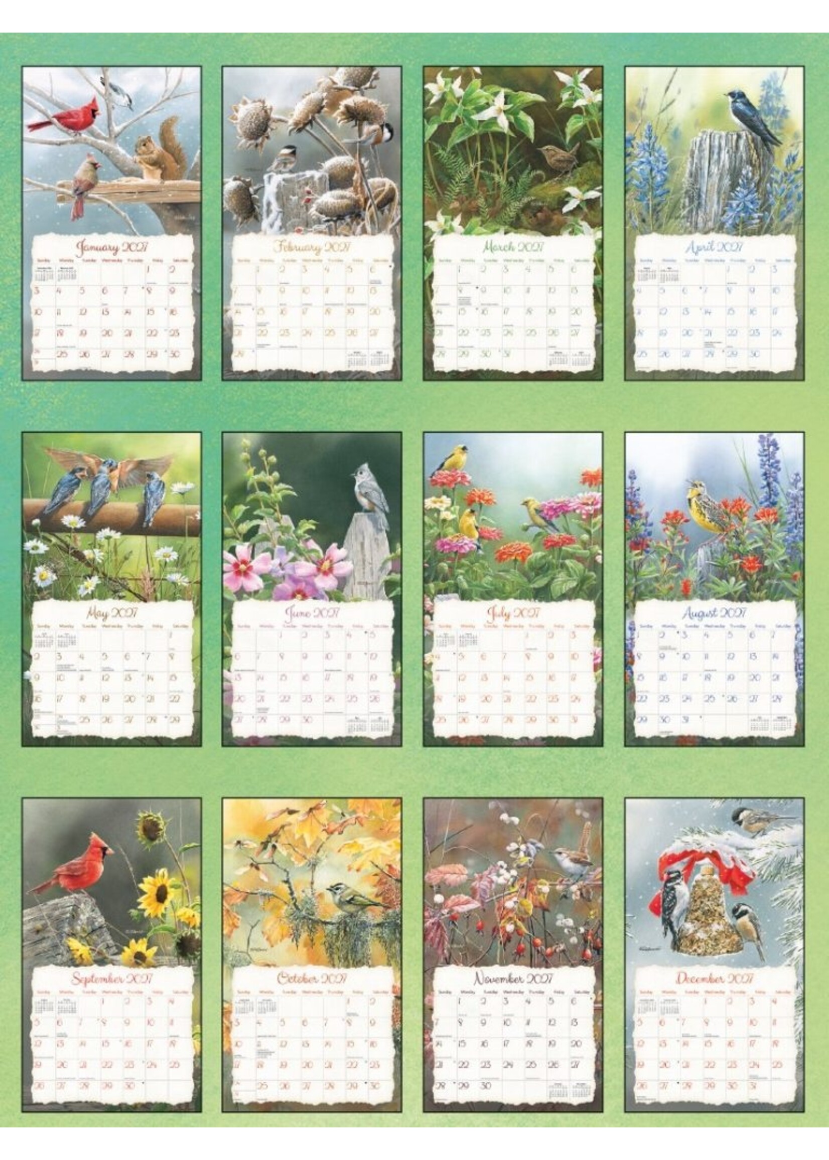 Lang Songbirds  lang Calendar 2027
