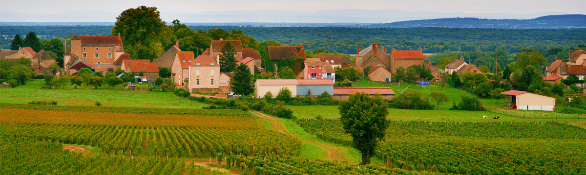 Domaine Berthenet Montagny Village