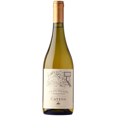 Catena Chardonnay Tupungato Mendoza 2019