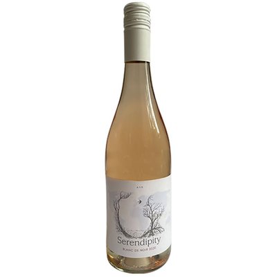 Serendipity Blanc de Noir 2020