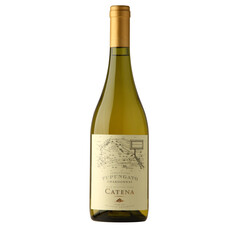 Catena Zapata Chardonnay Tupungato Mendoza 2021