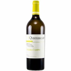 Quintodecimo Via del Campo Falanghina 2022