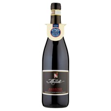 Villa Mondi Amarone della Valpolicella 2019