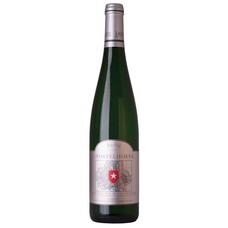 Apostelhoeve Riesling (Louwberg Maastricht) 2023