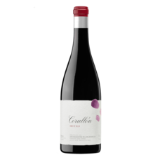 Descendientes de J. Palacios Villa de Corullón Bierzo 2022