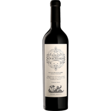 El Enemigo Gran Enemigo Single Vineyard Gualtallary Cabernet Franc 2017