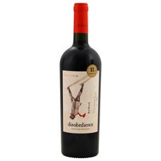 Kaiken Francis Mallmann Disobedience Red Blend 2021