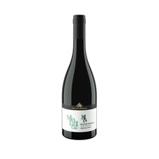 Villa Corniole Pietramontis Müller Thurgau 2022