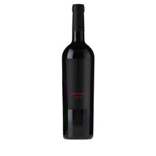 Guerrieri Guerriero Nero 2024