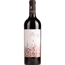 Rio Lindo Syrah 2024