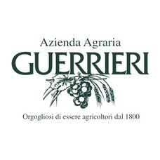 Guerrieri