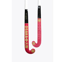 Indoor Pro Bow 10