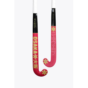 Indoor Pro Bow 10