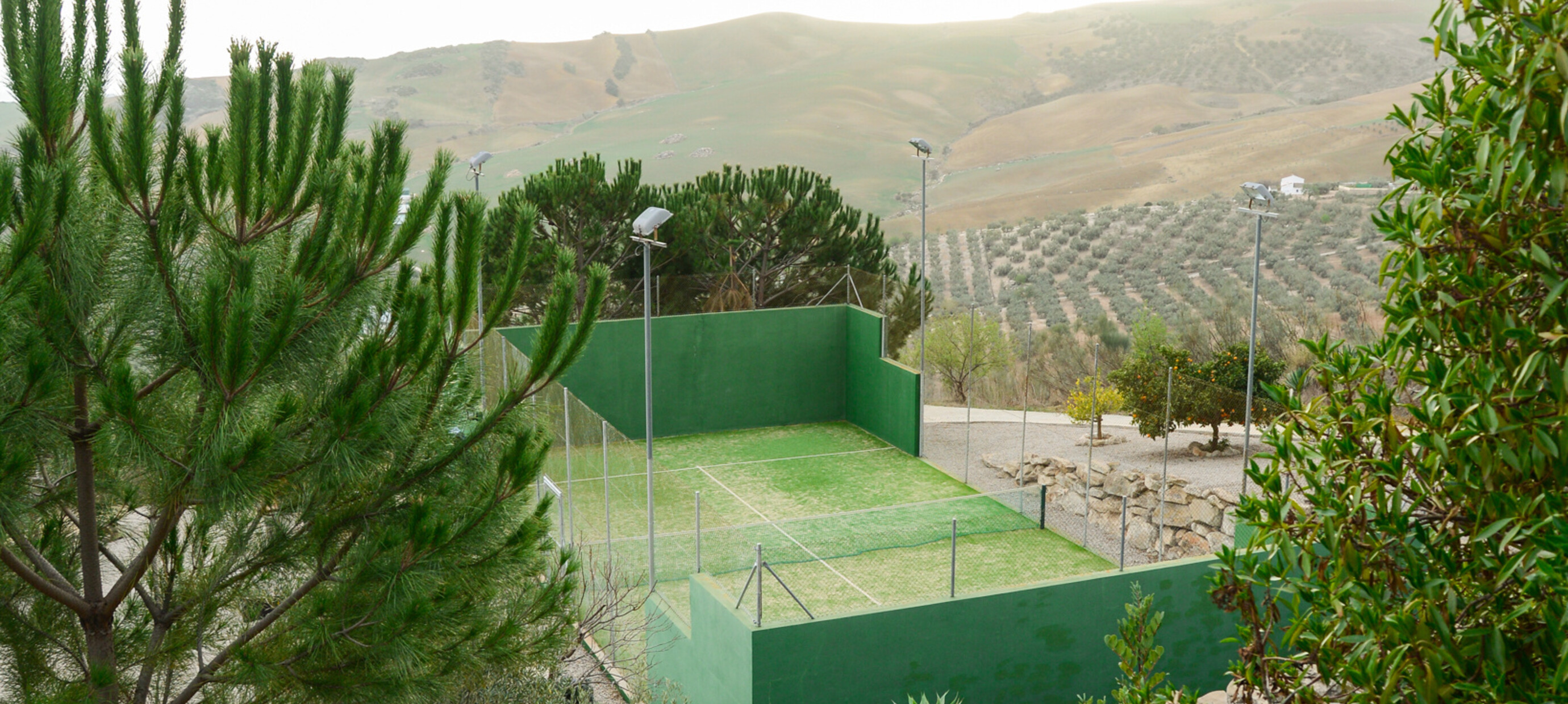 PADEL SENIOREN: DE IDEALE SPORTKEUZE