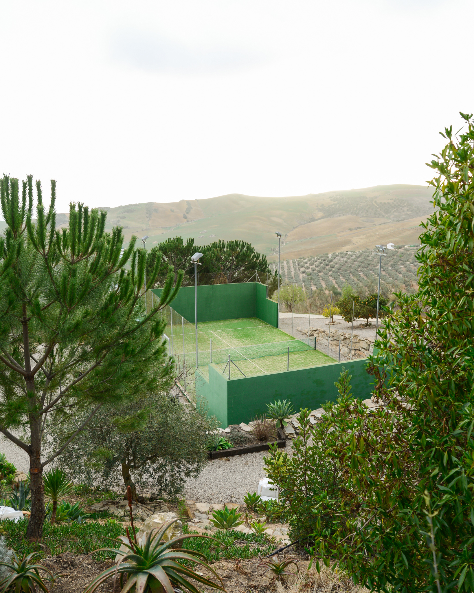 PADEL SENIOREN: DE IDEALE SPORTKEUZE