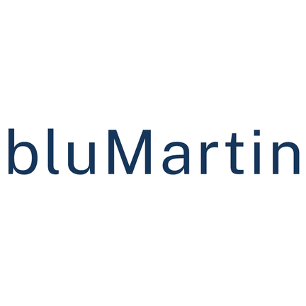 bluMartin MVHR filters