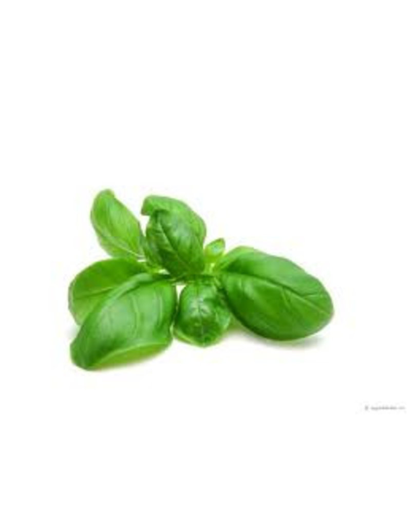 Papier mulberry graines de basilic 100 feuilles