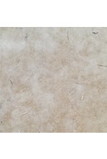 BT006 - Bhutanisches Papier mit Daphne-Fasern
