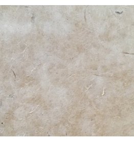 BT006 - Bhutanese paper with daphne fibres